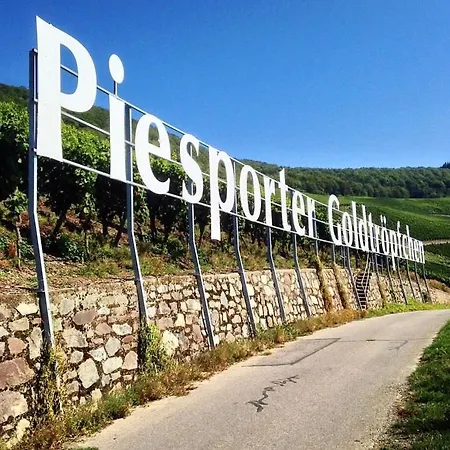 Moselnest Appartement
