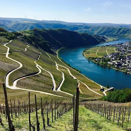 Moselnest Piesport