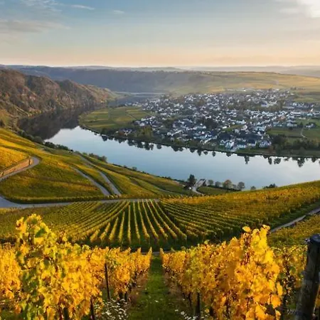 Moselnest Daire Piesport